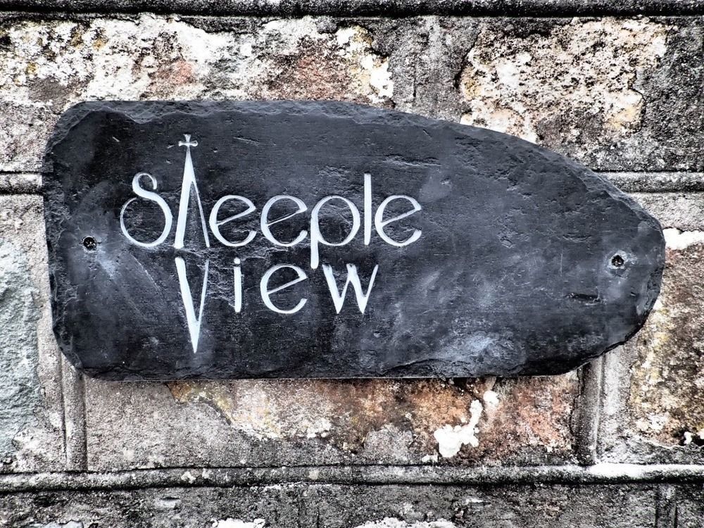 Steeple View Acomodação com café da manhã Newport  Exterior foto